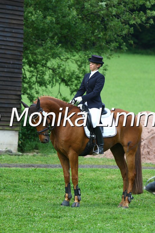 006M3254_Dressur L.JPG